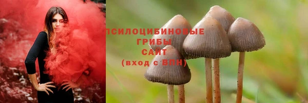 PSILOCYBIN Арсеньев